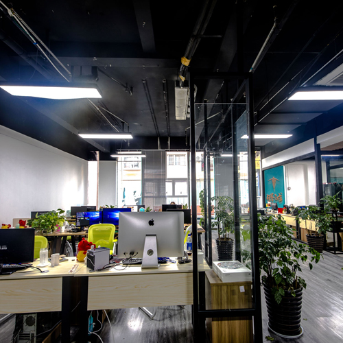 哈尔滨网络公司